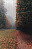 Bovary